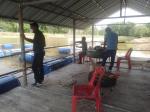 เตรียมสถานที่แปลงนาสาธิต ตามหลักปรัชญาเศรษฐกิจพอเพียง